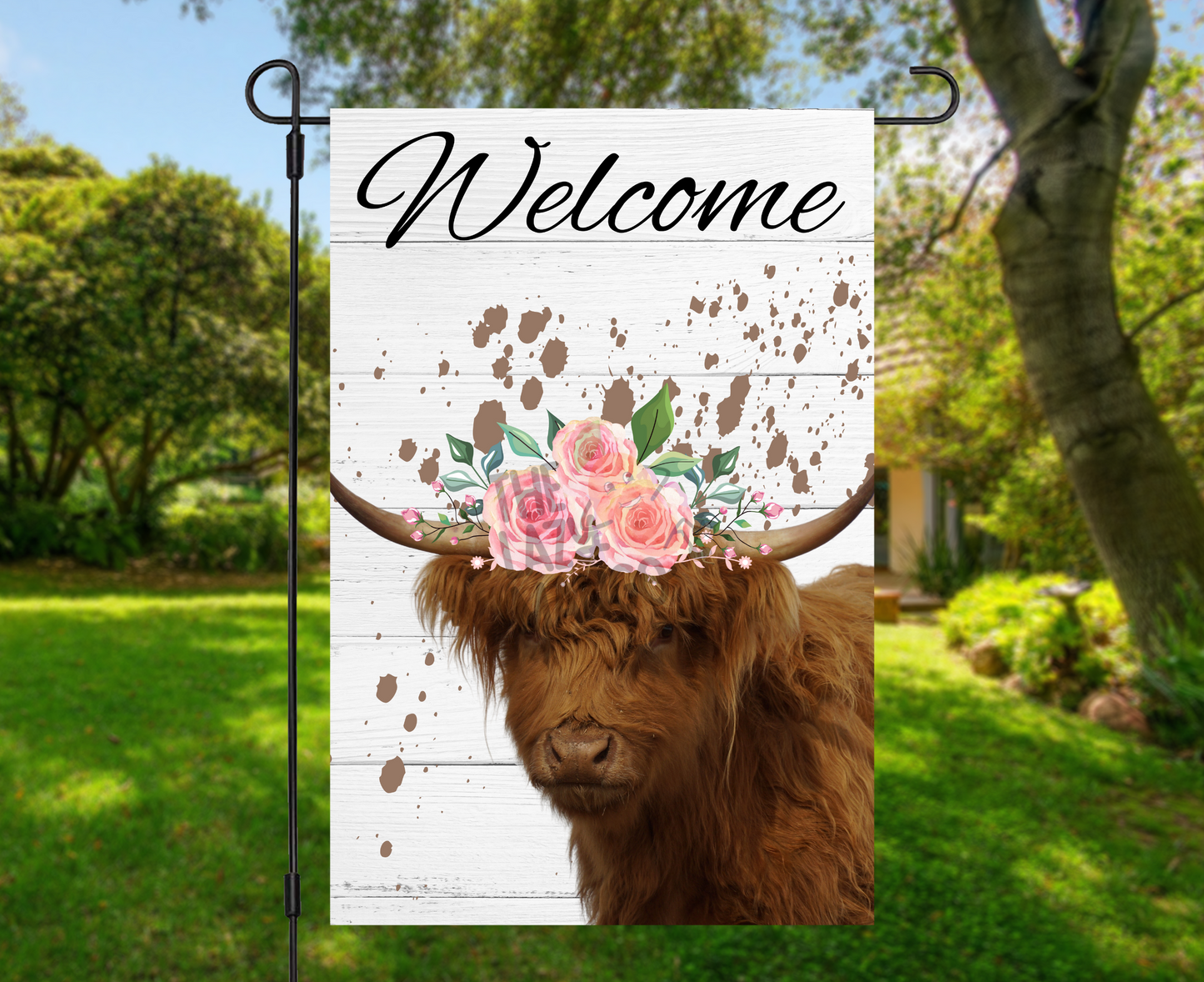 Highland Cow