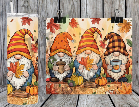 Fall Gnomes
