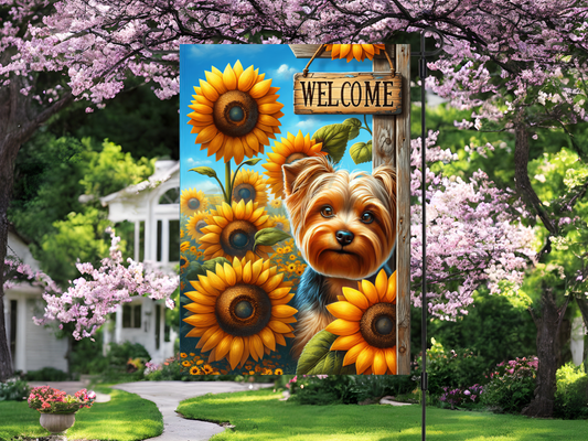 Yorkie Puppy
